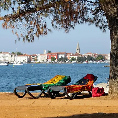 With A Swimming Pool Zbandaj, - 14154